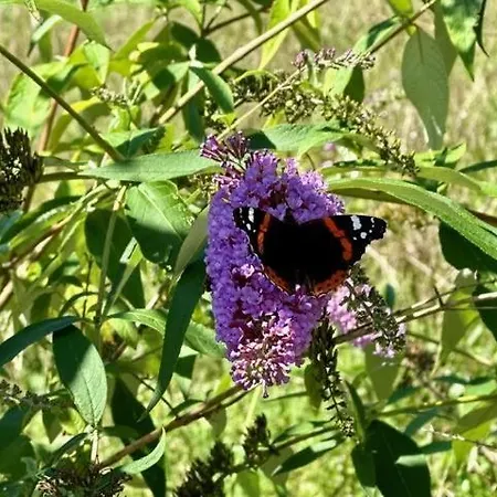 Haus Tutsi * Sankt Ulrich am Pillersee