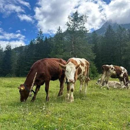 Haus Tutsi Daire Sankt Ulrich am Pillersee