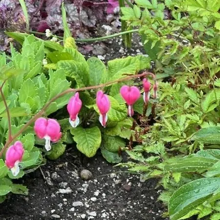 Haus Tutsi * Sankt Ulrich am Pillersee